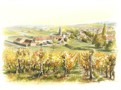 b5_Paysage_vigne