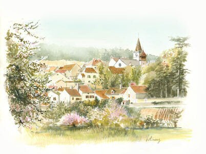 c6_Volnay