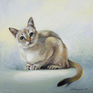 1_chat_Singapour