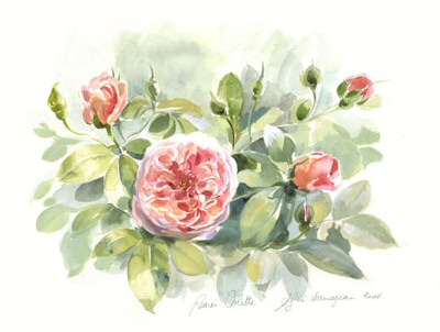 Rose Colette