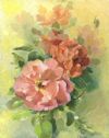 Rose Corail